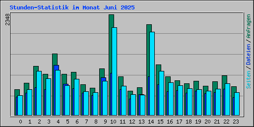 Stunden-Statistik im Monat Juni 2025